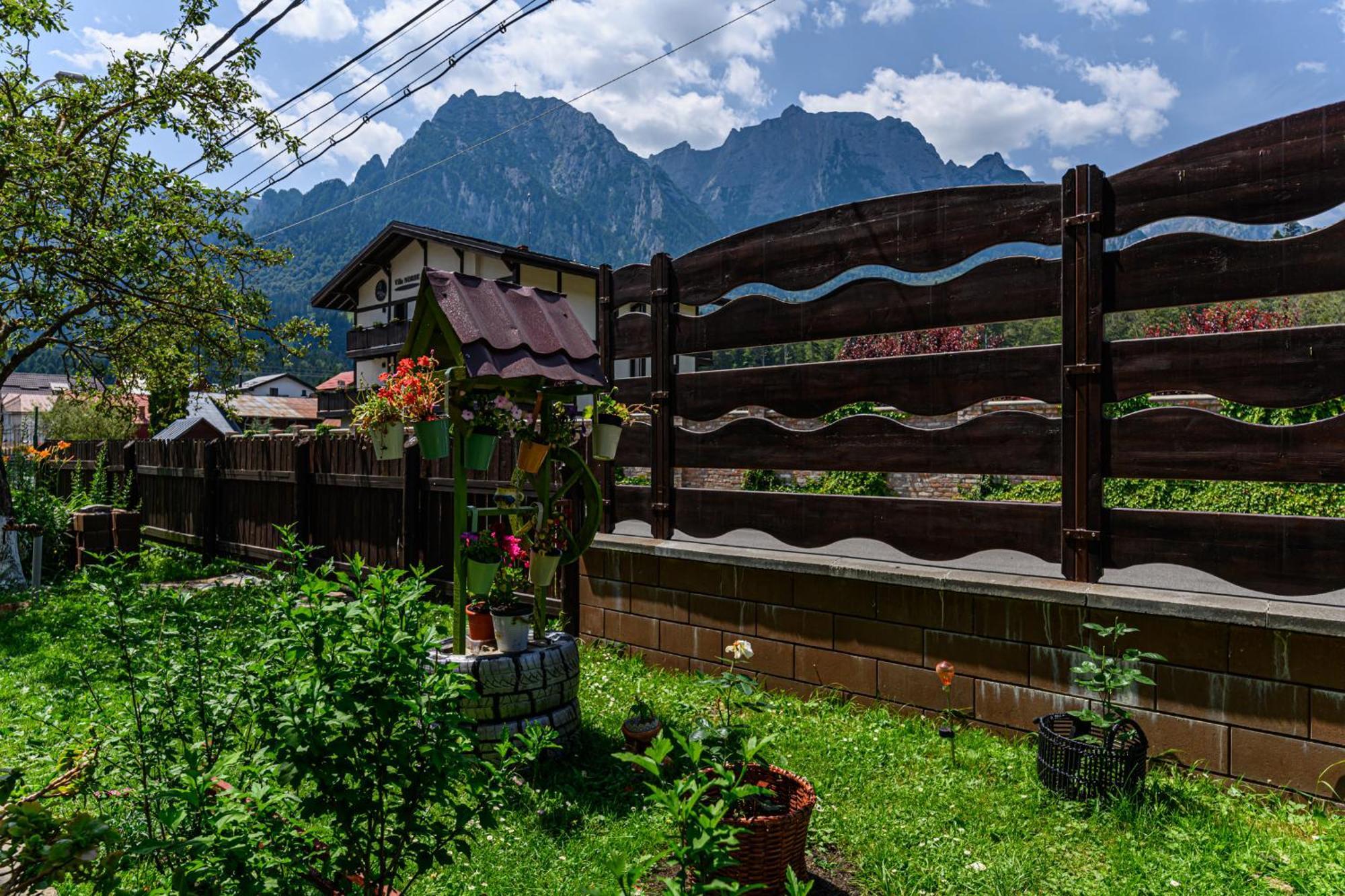 Hotel Casa Ramino à Buşteni Extérieur photo